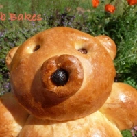 A Bread Bear in Bristol